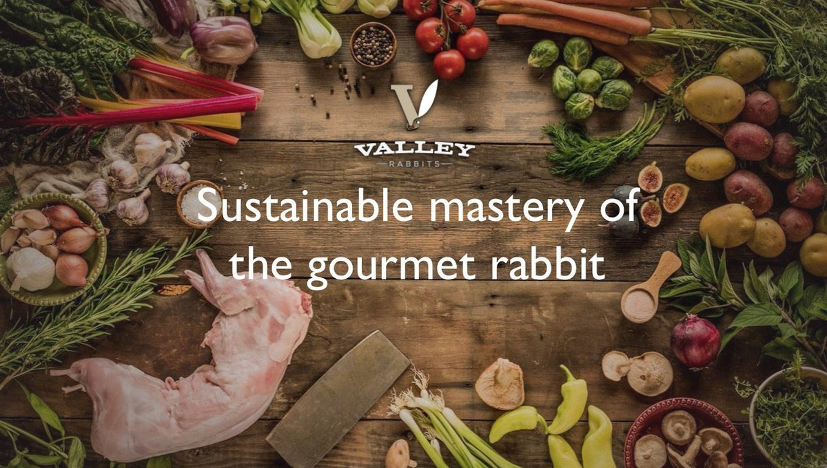 Rabbit Recipes – Valley Rabbits